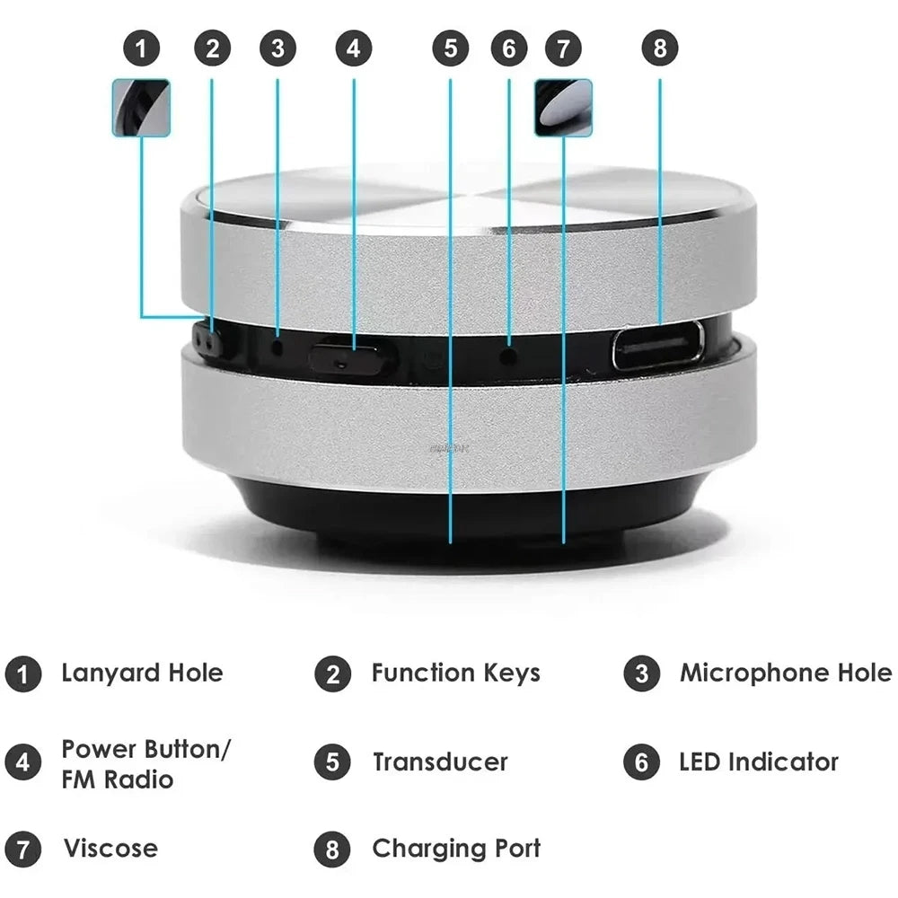 Hummingbird Bone Conduction Speaker