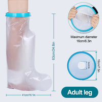 Leg